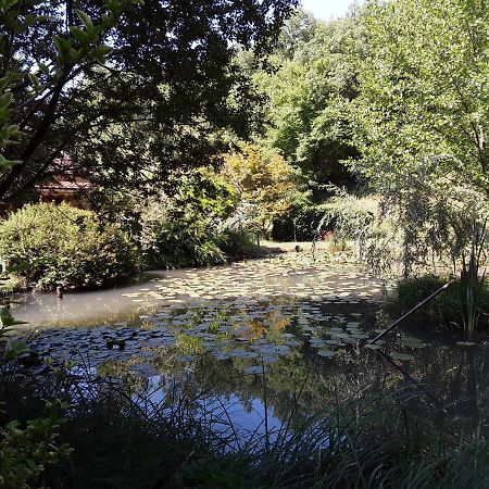 Le Chalet De La Grenouille Verte Tursac Luaran gambar