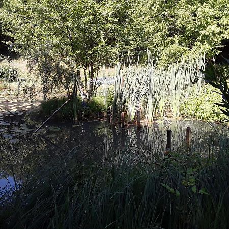 Le Chalet De La Grenouille Verte Tursac Luaran gambar