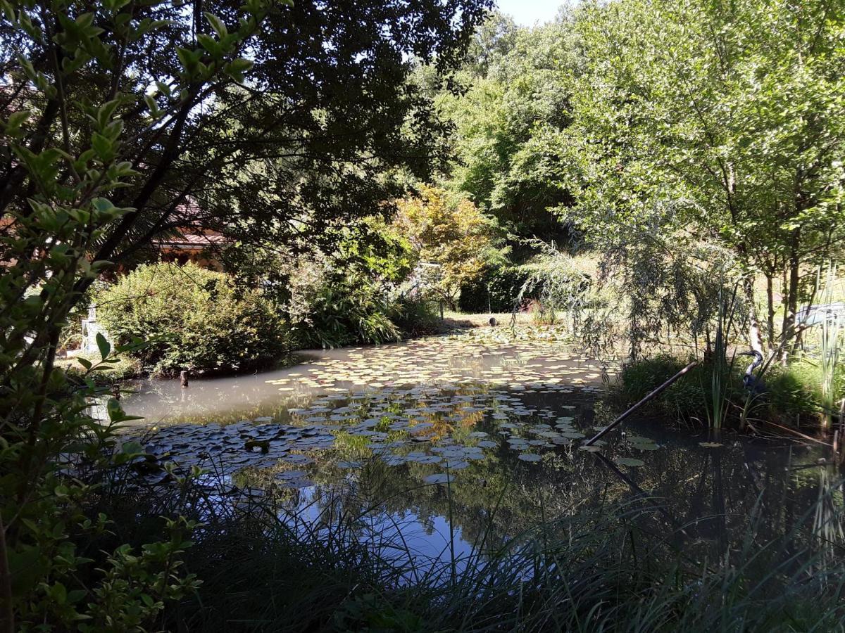 Le Chalet De La Grenouille Verte Tursac Luaran gambar